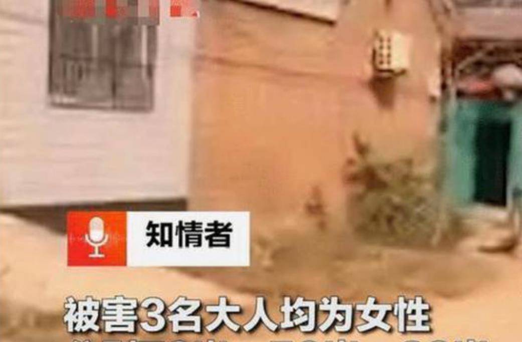 河南原阳凶杀案最新进展与深度解析揭秘