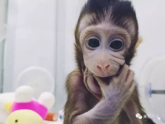 商会章程 第23页
