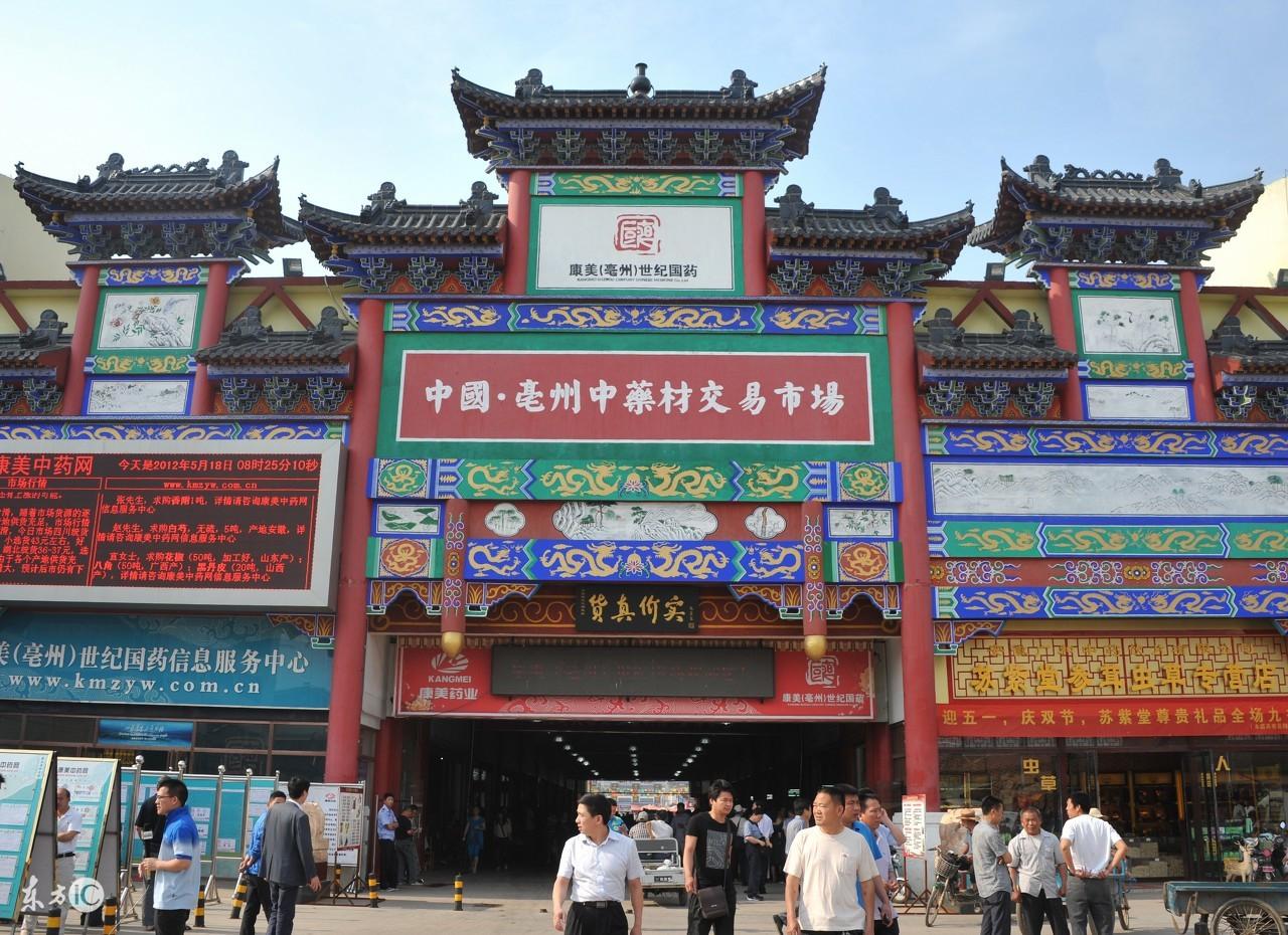 自在神医逍遥客传奇之旅最新更新