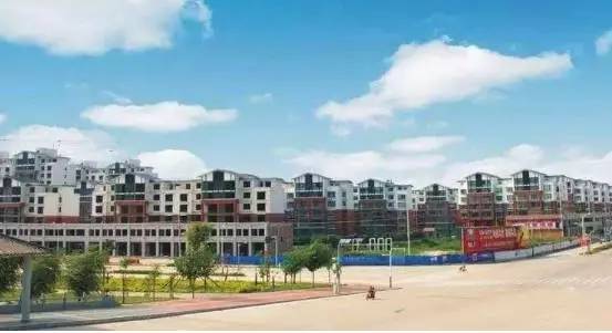 新蔡市最新消息全面报道汇总