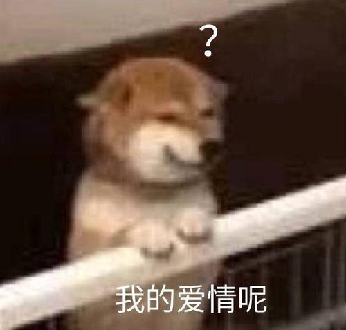 最新版土味情话，深情告白，爱意绽放