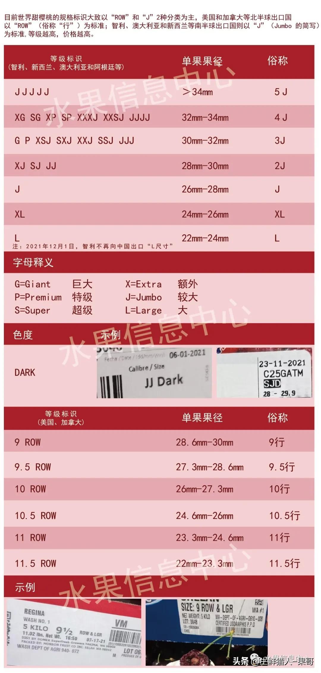 车厘子最新版全面解析，从种植到市场趋势深度探讨