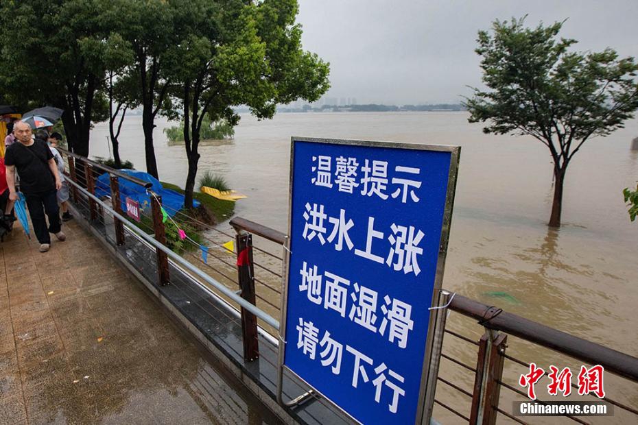 南京洪水实时更新，城市全力应对，保障人民生命财产安全