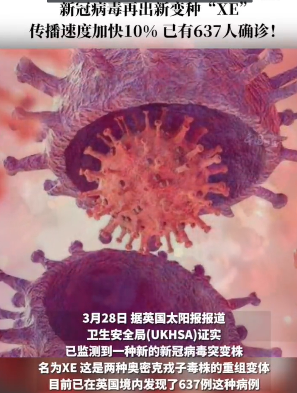 全球星冠肺炎病毒最新动态，疫情报道与应对策略探讨