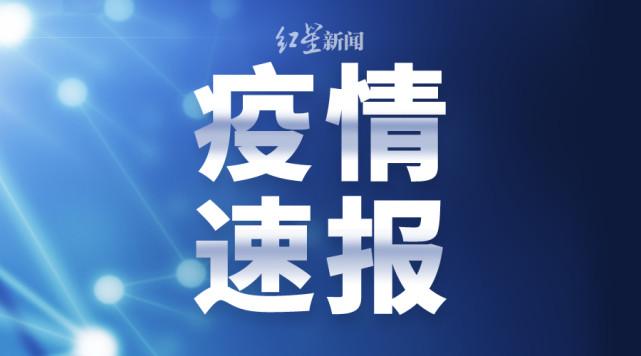 新冠肺炎疫情最新确诊情况概览与全球应对策略