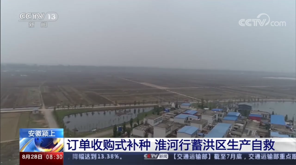 颍上今日最新新闻报道汇总