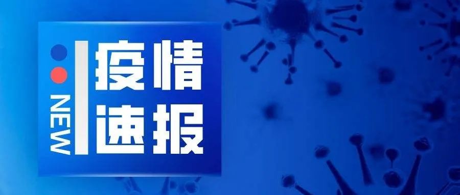 全球新型肺炎疫情最新动态，进展、挑战与新进展报道综述