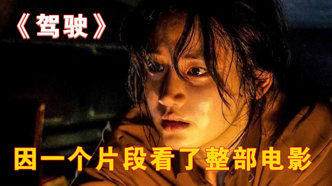 韩国最新电影免费观看，探索免费影视资源的魅力之旅