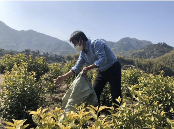 广东东莞茶山最新疫情概况与影响分析