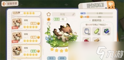 最新奥比岛宠物捕捉攻略揭秘，捕捉宠物的最佳方法与技巧