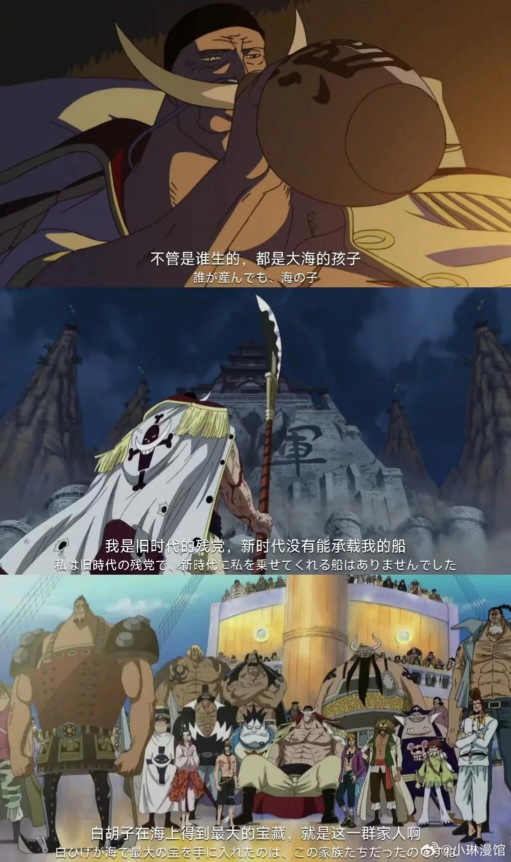 海贼王最新片段，热血航海的新征程探索启航