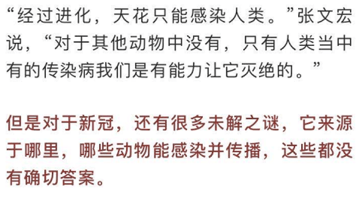 新冠病毒最新动态，全球抗击疫情的挑战与进展更新报告