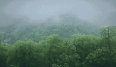 中国天气最新消息全面解析