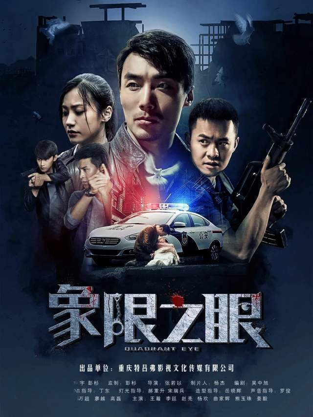 国产最新破案剧，智慧与勇气的较量