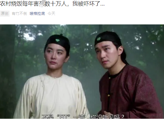 陶澍最新研究揭秘农村烧饭新变革