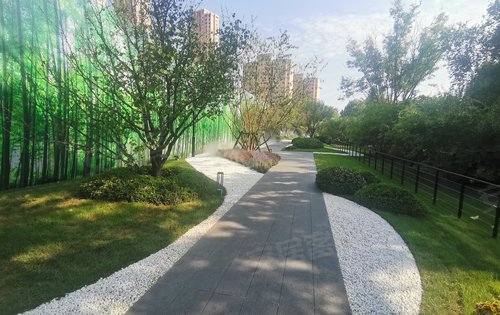 十里观澜最新动态揭秘，城市前沿发展的观察与展望