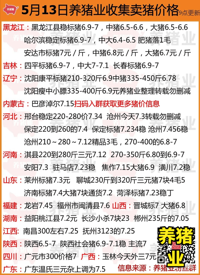 最新市场动态深度探讨，生猪价格分析与预测，今日生猪价一览